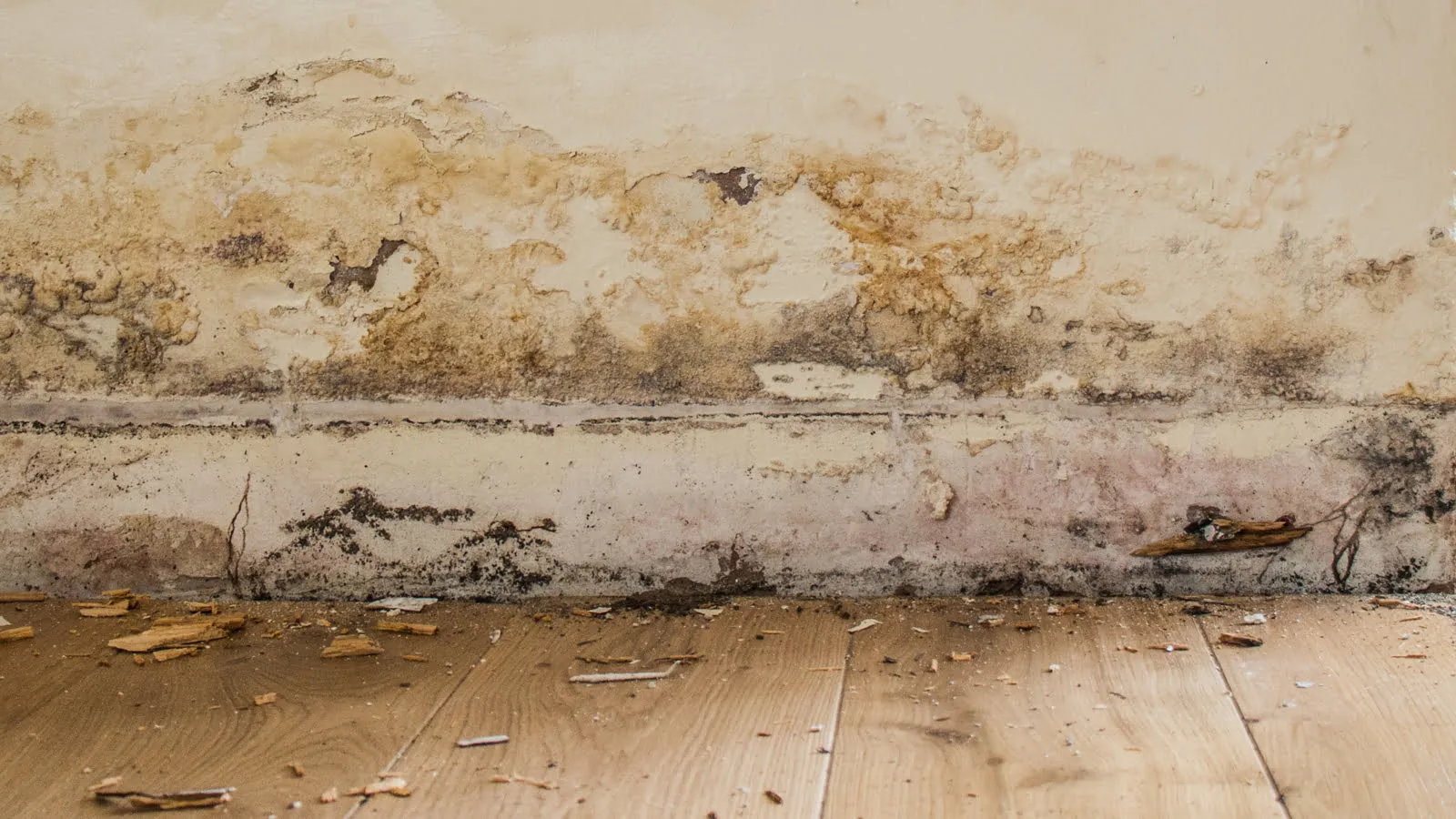 Common Causes of Wall Damage in Your Home