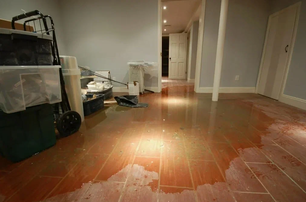 Water Damage Repair Services in Lynchburg VA