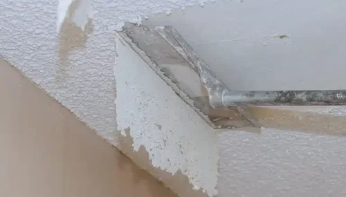 Texture Removal