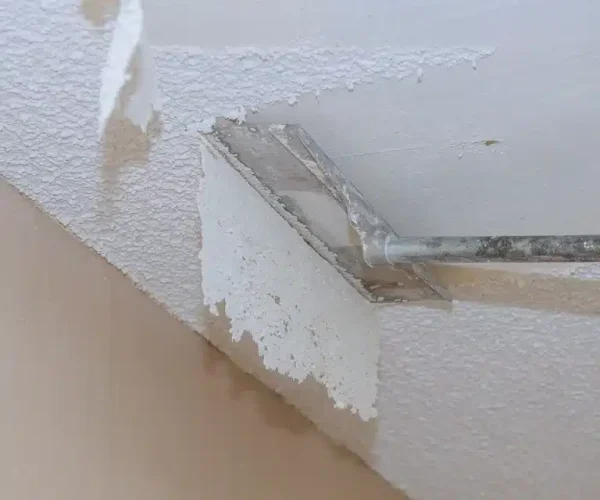Texture Removal